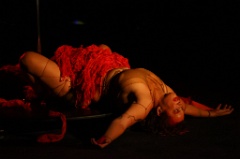 I want to break freak 009 * 6000 x 4000 * (4.35MB)